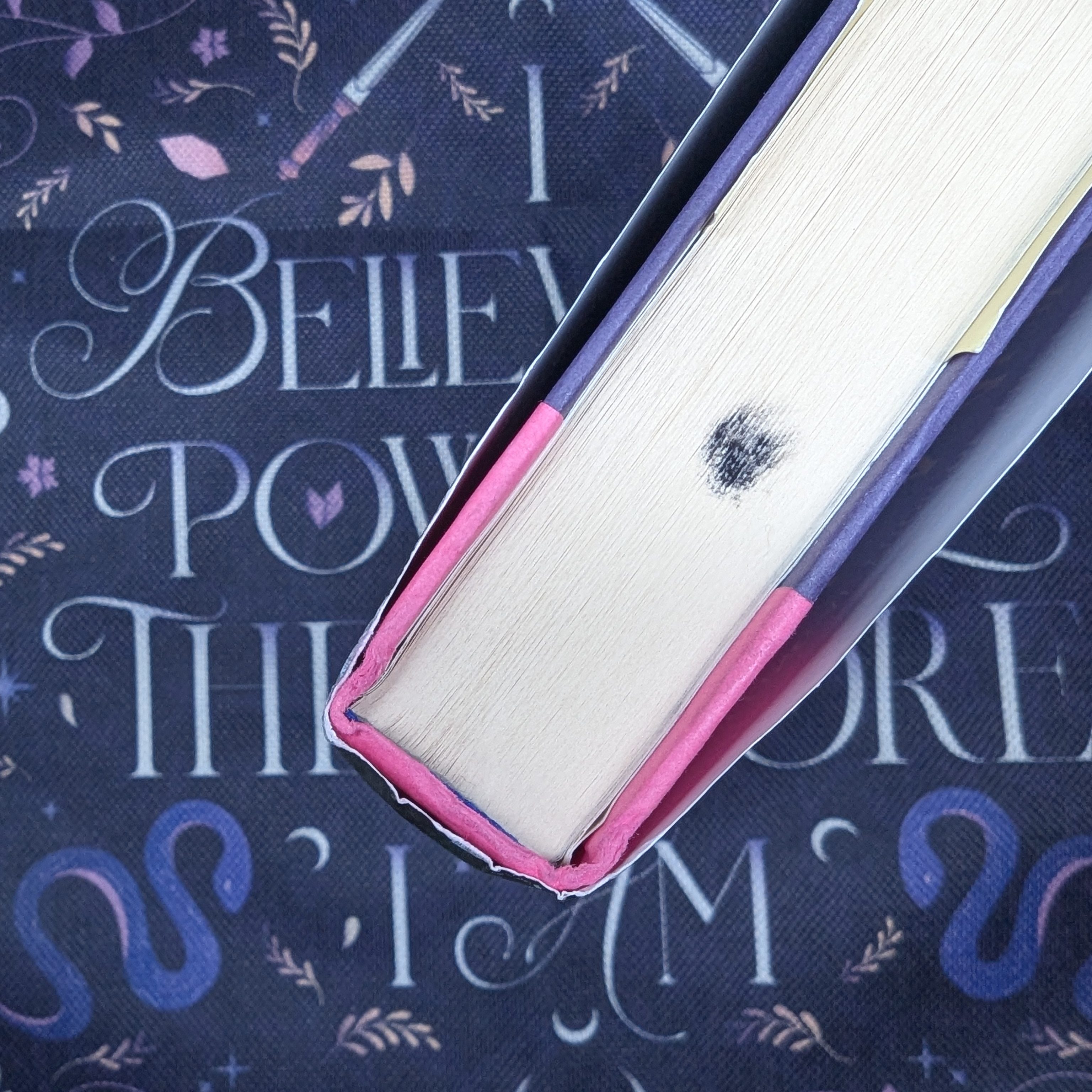 Image shows the black dot that is on the top pages of the book A River of Golden Bones.